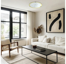 Living cu canapea, masă, scaun, fereastră și plafonieră