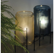 Două lămpi de masă din sticlă cu cadru metalic lângă o plantă