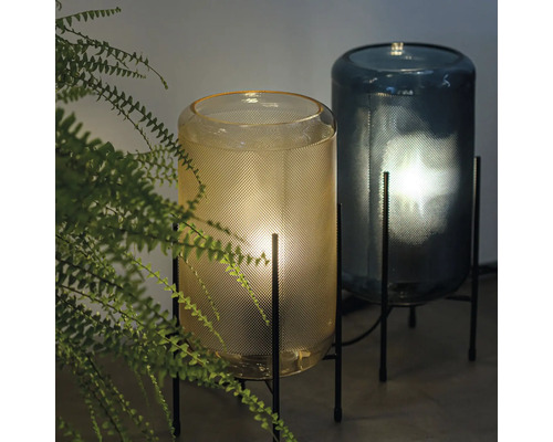 Două lămpi de masă din sticlă cu cadru metalic lângă o plantă