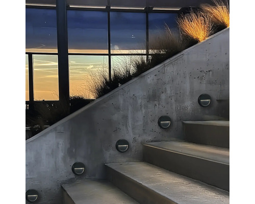 Scară cu lumini încorporate și vegetație