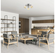 Living cu plafonieră, fotolii și rafturi