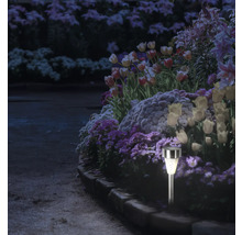 Alee de grădină iluminată cu lampă solară printre flori