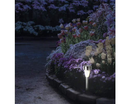 Alee de grădină iluminată cu lampă solară printre flori