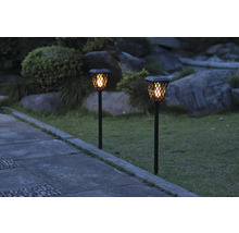 Două lămpi solare iluminează o cărare de grădină.