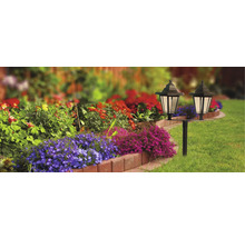 Scenă de grădină cu flori și două lămpi de grădină