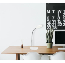 Birou cu lampă de birou, plantă și calendar