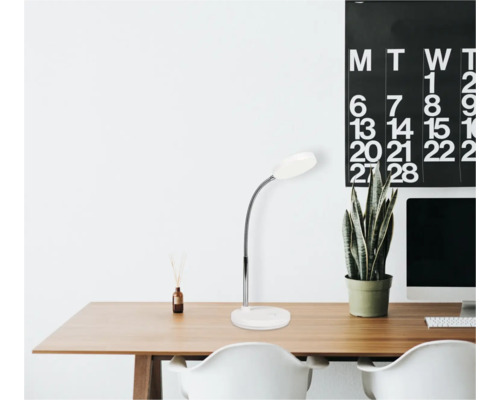 Birou cu lampă de birou, plantă și calendar