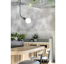 Interior cu lampă, masă, scaune și plante pentru o impresie luminoasă și organizată.