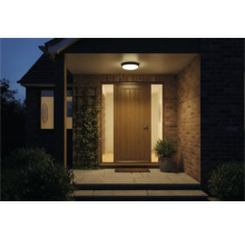 Intrarea unei case cu ușă de intrare, iluminat și plante