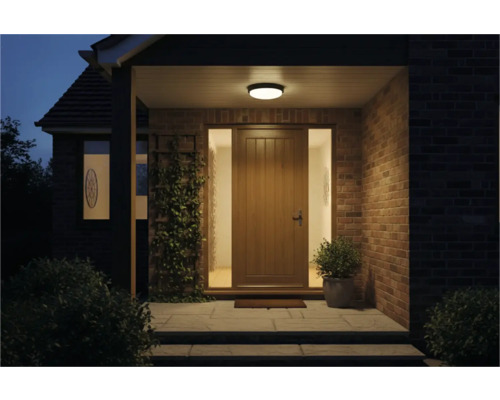 Intrarea unei case cu ușă de intrare, iluminat și plante