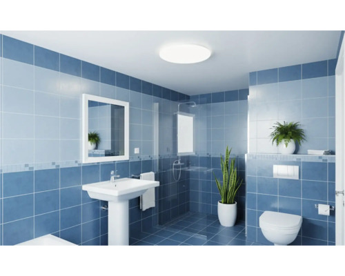 Baie luminoasă cu duș, chiuvetă, oglindă și toaletă