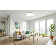 Living luminos cu canapea, masă, covor și plante de interior.