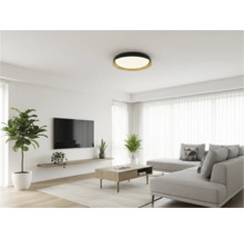 Cameră de zi cu plafonieră, canapea, covor și plante de interior