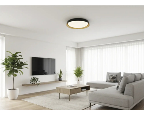 Cameră de zi cu plafonieră, canapea, covor și plante de interior