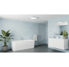 Baie modernă cu cadă, lavoar și plante