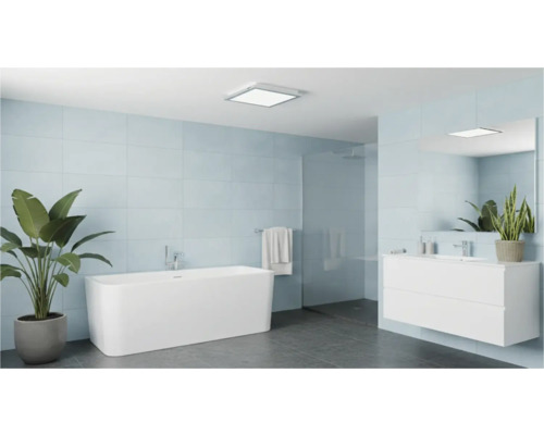 Baie modernă cu cadă, lavoar și plante