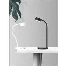 Lămpi de masă în negru și alb pe o masă