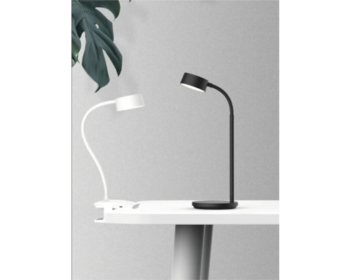 Lămpi de masă în negru și alb pe o masă