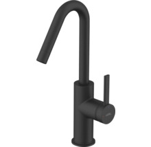 Baterie de bucătărie Avital cu gât înalt