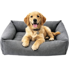 Golden Retriever stă întins într-un pat gri pentru câini