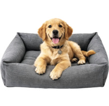 Golden Retriever stă întins într-un pat gri pentru câini