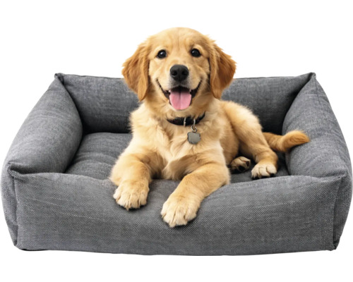 Golden Retriever stă întins într-un pat gri pentru câini