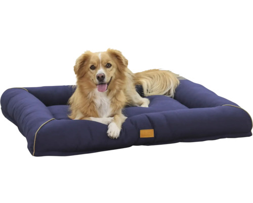 Câinele stă întins într-un pat de câine bleumarin