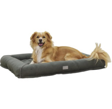 Câine care stă întins într-un pat pentru câini