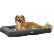 Câinele stă întins într-un pat gri pentru câini