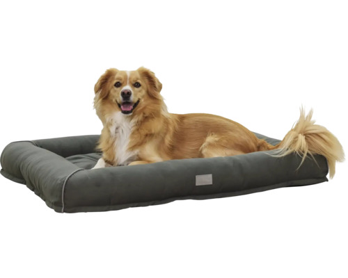 Câinele stă întins într-un pat gri pentru câini