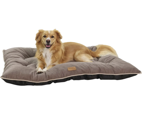 Câinele stă întins pe un pat gri pentru câini