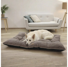 Câine ciobănesc alb se odihnește pe un pat gri pentru câini într-un living luminos.