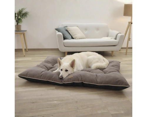 Câine ciobănesc alb se odihnește pe un pat gri pentru câini într-un living luminos.