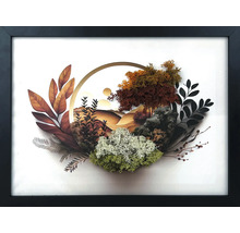 Tablou de perete în ramă neagră cu un peisaj tridimensional din mușchi conservat, plante uscate, pietre și o grafică.