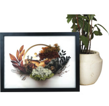 Tablou decorativ 3D în ramă neagră cu mușchi, plante artificiale, piatră și o reprezentare circulară a peisajului.