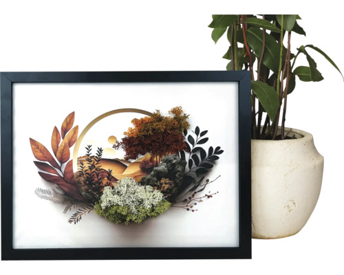 Tablou decorativ 3D în ramă neagră cu mușchi, plante artificiale, piatră și o reprezentare circulară a peisajului.