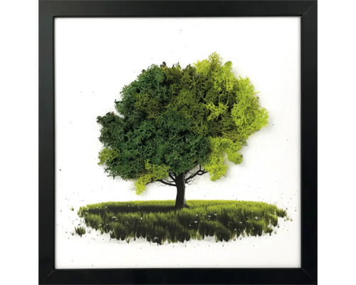 Tablou de perete copac din mușchi conservat în diverse nuanțe de verde cu ramă neagră.
