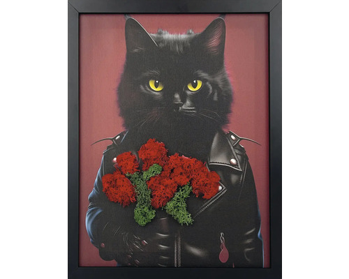 Tablou cu o pisică neagră în jachetă de piele și aplicații de mușchi islandez roșu și verde, înrămat în negru.
