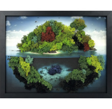 Tablou din mușchi în ramă neagră, cu o reprezentare tridimensională a unei insule și a unei lumi subacvatice din mușchi.