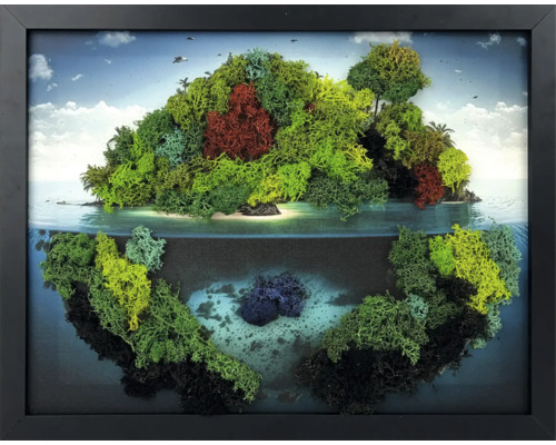 Tablou din mușchi în ramă neagră, cu o reprezentare tridimensională a unei insule și a unei lumi subacvatice din mușchi.