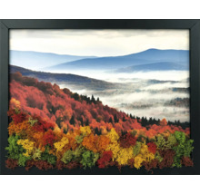 Tablou cu peisaj de toamnă, munți și ceață, cu mușchi conservat tridimensional în diverse culori în prim-plan, cu ramă neagră.