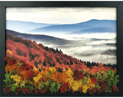 Tablou cu peisaj de toamnă, munți și ceață, cu mușchi conservat tridimensional în diverse culori în prim-plan, cu ramă neagră.