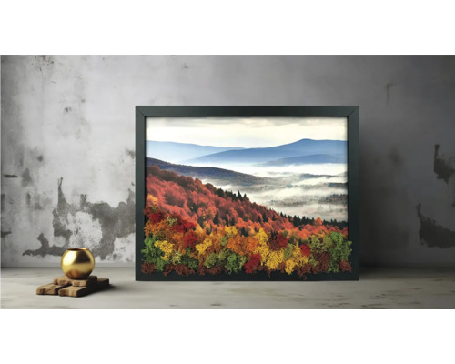 Tablou cu ramă neagră, peisaj montan de toamnă, ceață și licheni naturali pe un perete cu aspect de beton.