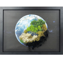 Tablou cu mușchi în ramă neagră, reprezentare a Pământului cu mușchi islandez colorat pe pânză cu fundal stelar.