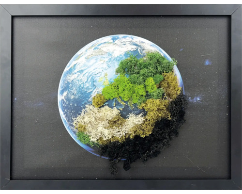 Tablou cu mușchi în ramă neagră, reprezentare a Pământului cu mușchi islandez colorat pe pânză cu fundal stelar.