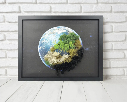 Tablou cu mușchi cu motiv glob pământesc în ramă neagră în fața unui perete de cărămidă.