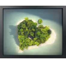 Tablou cu mușchi în ramă neagră cu o insulă în formă de inimă din mușchi verde în mare.