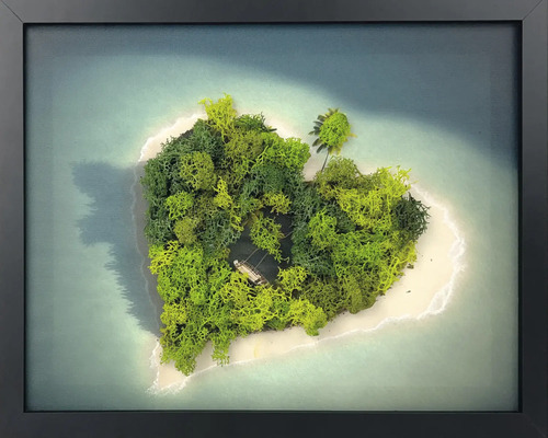 Tablou cu mușchi în ramă neagră cu o insulă în formă de inimă din mușchi verde în mare.