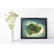 Decorațiune de perete cu un tablou din mușchi în formă de inimă în ramă neagră, lângă o vază cu flori în fața unui perete de cărămidă albă.