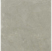 Placă de gresie porțelanată pătrată cu aspect de piatră gri și nervuri discrete.